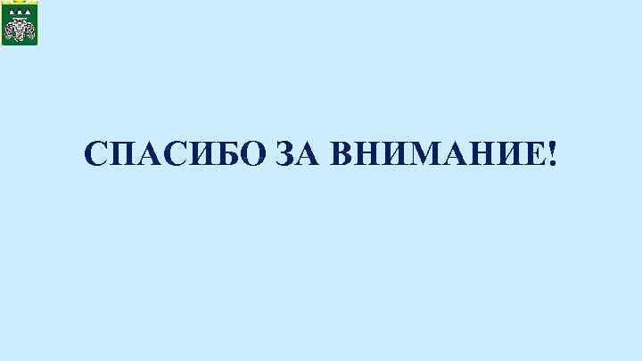 СПАСИБО ЗА ВНИМАНИЕ! 