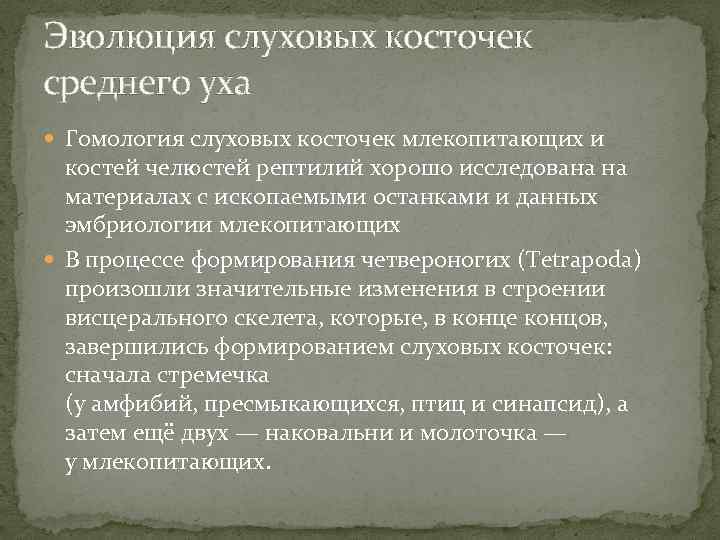 Эволюция слуховых косточек среднего уха Гомология слуховых косточек млекопитающих и костей челюстей рептилий хорошо