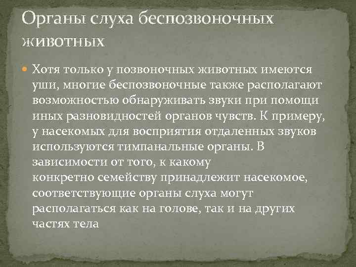 Органы слуха беспозвоночных животных Хотя только у позвоночных животных имеются уши, многие беспозвоночные также