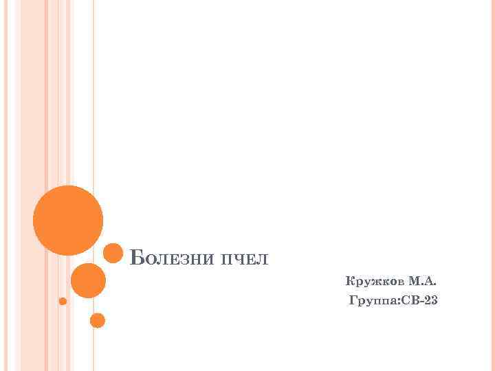 БОЛЕЗНИ ПЧЕЛ Кружков М. А. Группа: СВ-23 