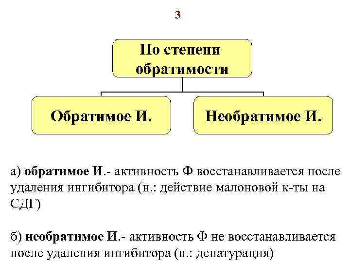 3 По степени обратимости Обратимое И. Необратимое И. а) обратимое И. - активность Ф