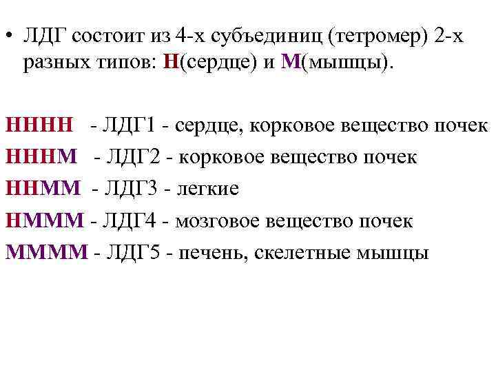  • ЛДГ состоит из 4 -х субъединиц (тетромер) 2 -х разных типов: Н(сердце)