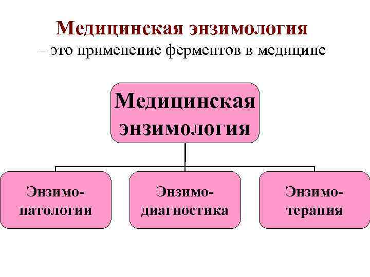 Медицинская энзимология – это применение ферментов в медицине Медицинская энзимология Энзимопатологии Энзимодиагностика Энзимотерапия 