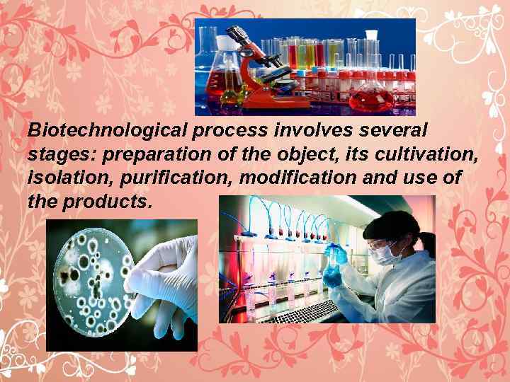 The Spheres Of Biotechnological Application And Biotechnological Process