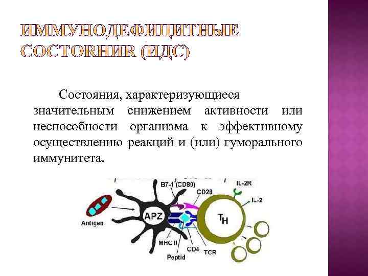 Состояния, характеризующиеся значительным снижением активности или неспособности организма к эффективному осуществлению реакций и (или)