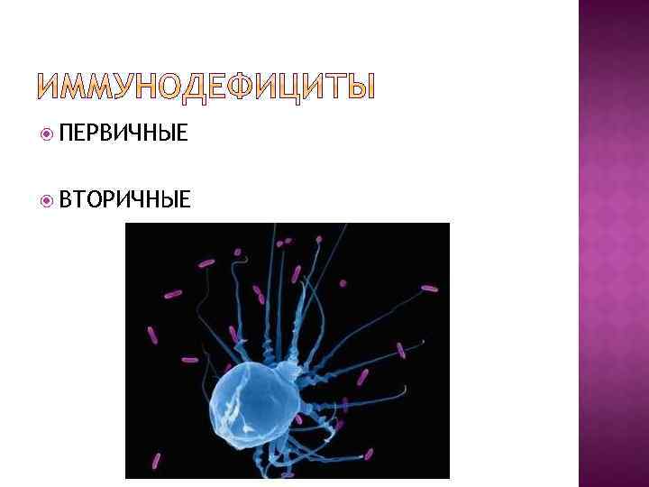  ПЕРВИЧНЫЕ ВТОРИЧНЫЕ 
