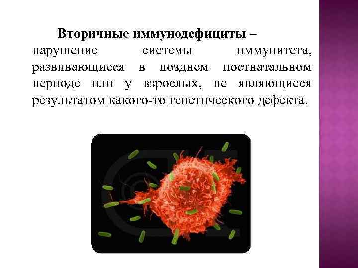 Вторичные иммунодефициты – нарушение системы иммунитета, развивающиеся в позднем постнатальном периоде или у взрослых,