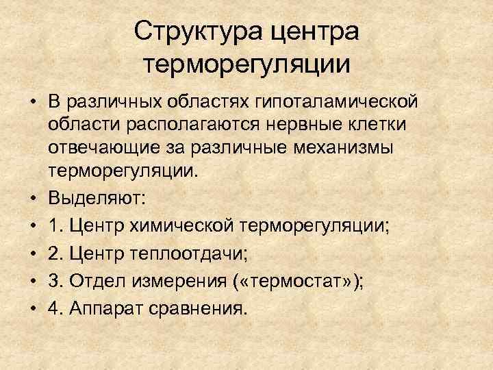 Структура центра терморегуляции • В различных областях гипоталамической области располагаются нервные клетки отвечающие за
