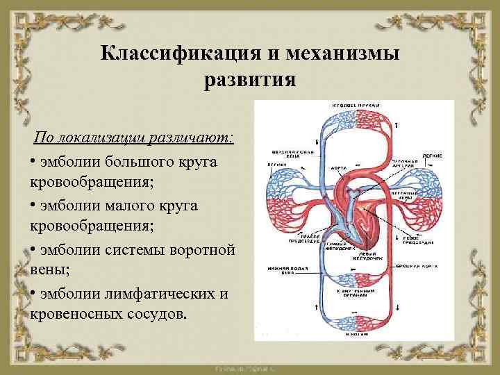 Классификация и механизмы развития По локализации различают: • эмболии большого круга кровообращения; • эмболии