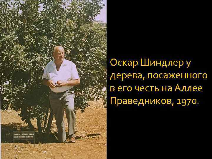 Оскар Шиндлер у дерева, посаженного в его честь на Аллее Праведников, 1970. 