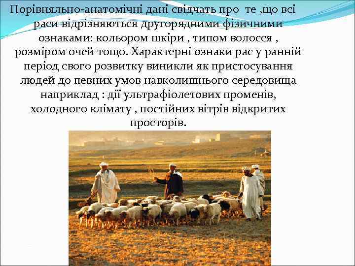 Порівняльно-анатомічні дані свідчать про те , що всі раси відрізняються другорядними фізичними ознаками: кольором