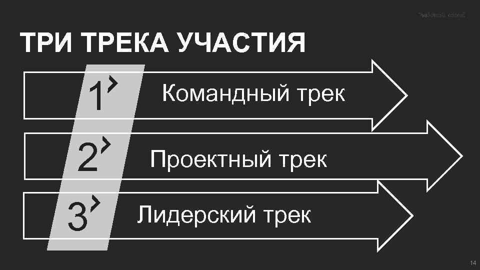 ТРИ ТРЕКА УЧАСТИЯ 1 2 3 Командный трек Проектный трек Лидерский трек 14 