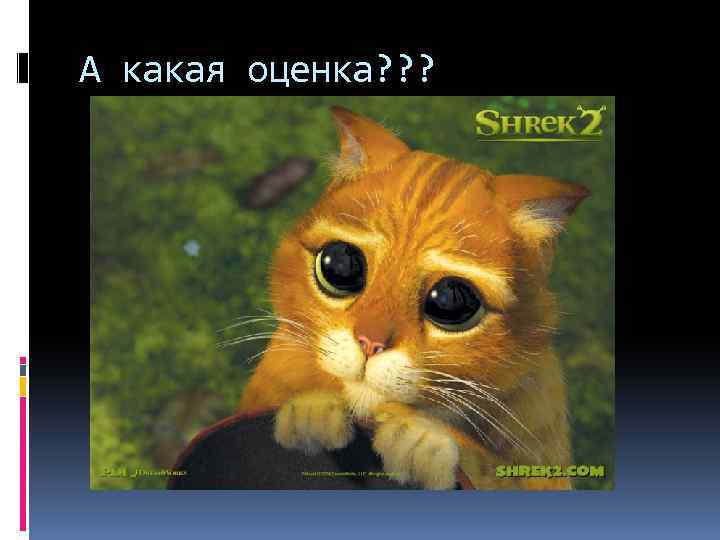 А какая оценка? ? ? 