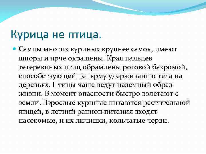 Курица не птица. Самцы многих куриных крупнее самок, имеют шпоры и ярче окрашены. Края