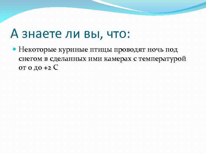 А знаете ли вы, что: Некоторые куриные птицы проводят ночь под снегом в сделанных