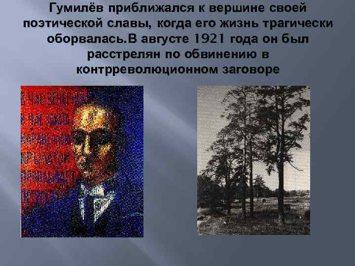 Гумилёв приближался к вершине своей поэтической славы, когда его жизнь трагически оборвалась. В августе