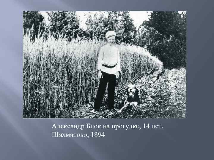 Александр Блок на прогулке, 14 лет. Шахматово, 1894 