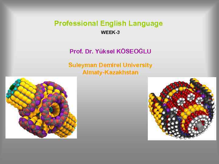 Professional English Language WEEK-3 Prof. Dr. Yüksel KÖSEOĞLU Suleyman Demirel University Almaty-Kazakhstan 