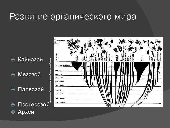 Развитие органического мира Кайнозой Мезозой Палеозой Протерозой Архей 