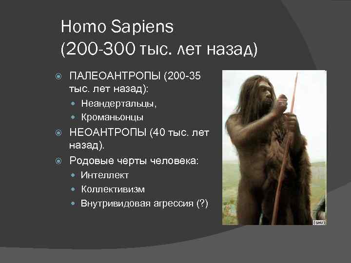 Социальные черты неоантропов. Хомо сапиенс 200 тыс лет назад. Человек 200 тыс лет назад. Первые люди 200-300 тыс. Лет назад. Вид человека 300 тысяч лет назад.