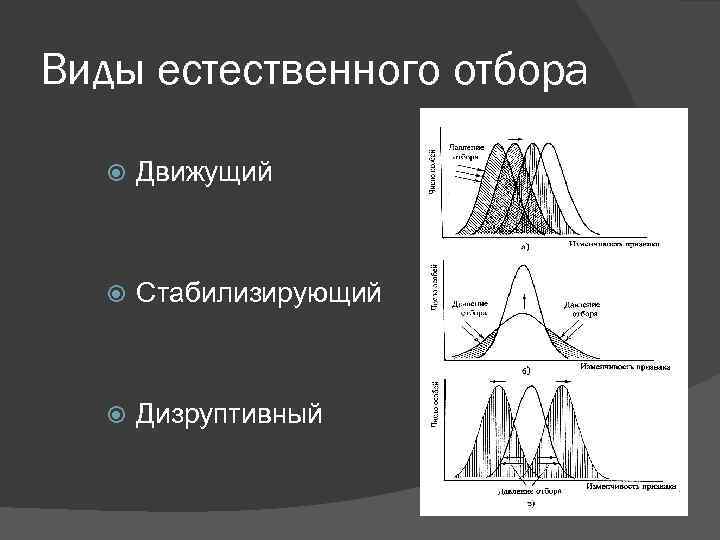 Схема движущего отбора