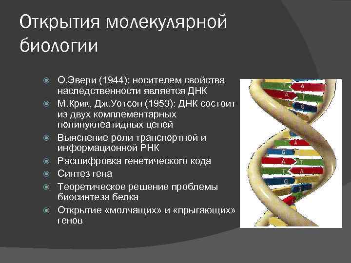 Открытия молекулярной биологии О. Эвери (1944): носителем свойства наследственности является ДНК М. Крик, Дж.