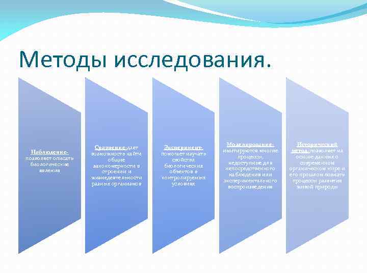 Методы исследования. Наблюдениепозволяет описать биологические явления Сравнение-дает возможность найти общие закономерности в строении и