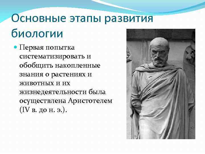 Первая биология. Основные этапы развития биологии. Основные этапы развития биологических знаний. Этапы развития науки биологии. 1. Основные этапы развития биологии..