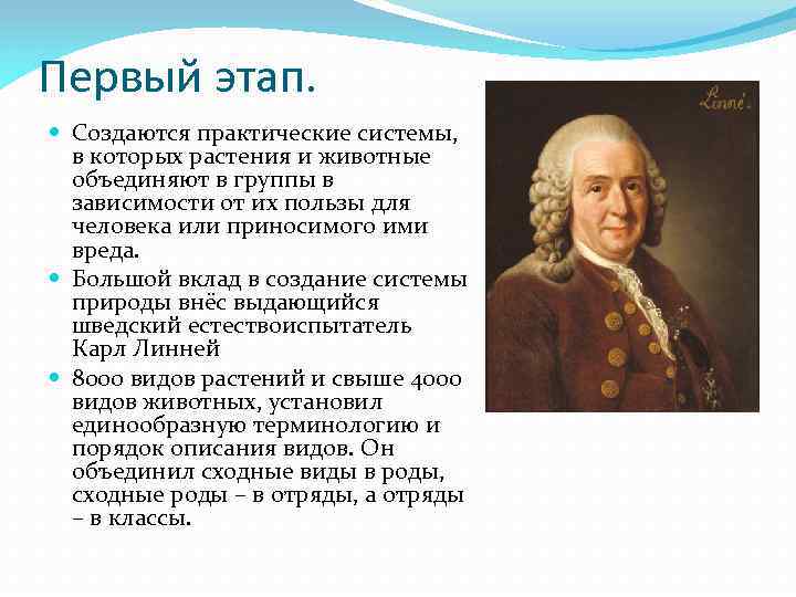 Первый этап. Создаются практические системы, в которых растения и животные объединяют в группы в