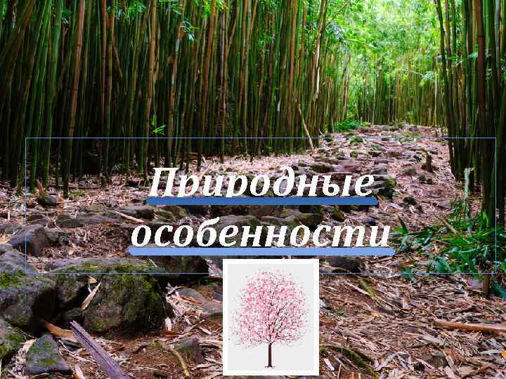 Природные особенности 