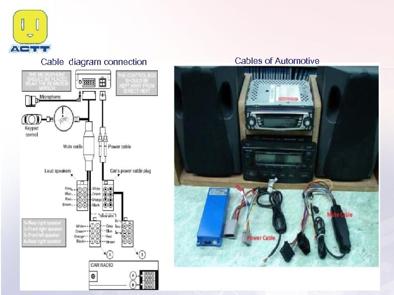 Cable diagram connection Cables of Automotive 
