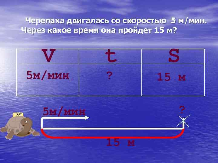 Черепаха двигалась со скоростью 5 м/мин. Через какое время она пройдет 15 м? V