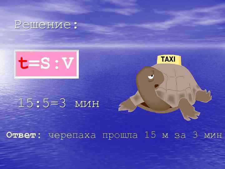 Ответы черепаха