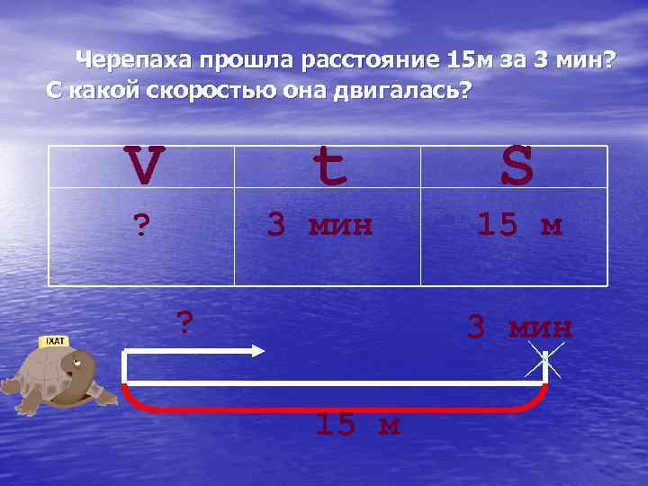 Черепаха прошла расстояние 15 м за 3 мин? С какой скоростью она двигалась? V