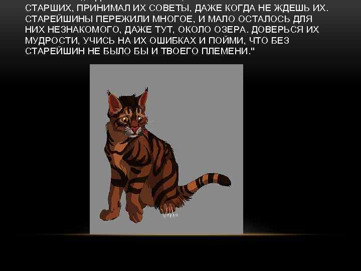 КИСТОЧКА: , , Я ДАЮ ТЕБЕ ЖИЗНЬ, ЧТОБЫ ТЫ СЛУШАЛ СТАРШИХ, ПРИНИМАЛ ИХ СОВЕТЫ,