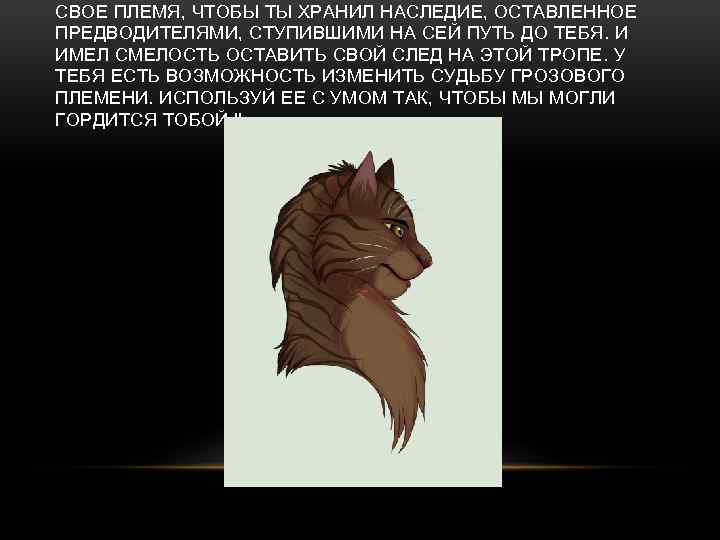 СВОЕ ПЛЕМЯ, ЧТОБЫ ТЫ ХРАНИЛ НАСЛЕДИЕ, ОСТАВЛЕННОЕ ПРЕДВОДИТЕЛЯМИ, СТУПИВШИМИ НА СЕЙ ПУТЬ ДО ТЕБЯ.