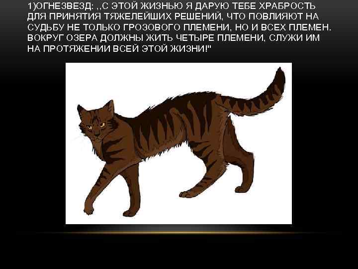 1)ОГНЕЗВЕЗД: , , С ЭТОЙ ЖИЗНЬЮ Я ДАРУЮ ТЕБЕ ХРАБРОСТЬ ДЛЯ ПРИНЯТИЯ ТЯЖЕЛЕЙШИХ РЕШЕНИЙ,