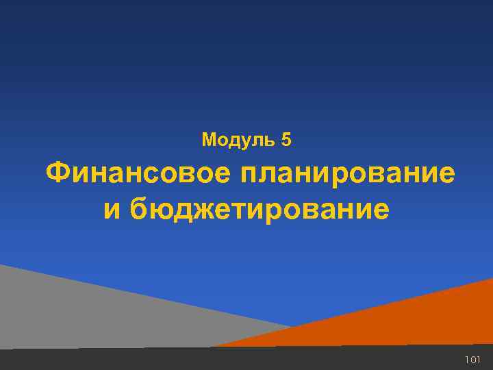 Модуль 5 Финансовое планирование и бюджетирование 101 