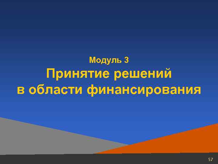 Модуль 3 Принятие решений в области финансирования 57 