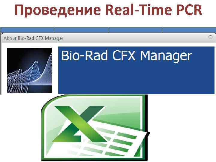 Проведение Real-Time PCR Реактив 1 х, мкл 8 х, мкл 1. Проведение °CПЦР Время,