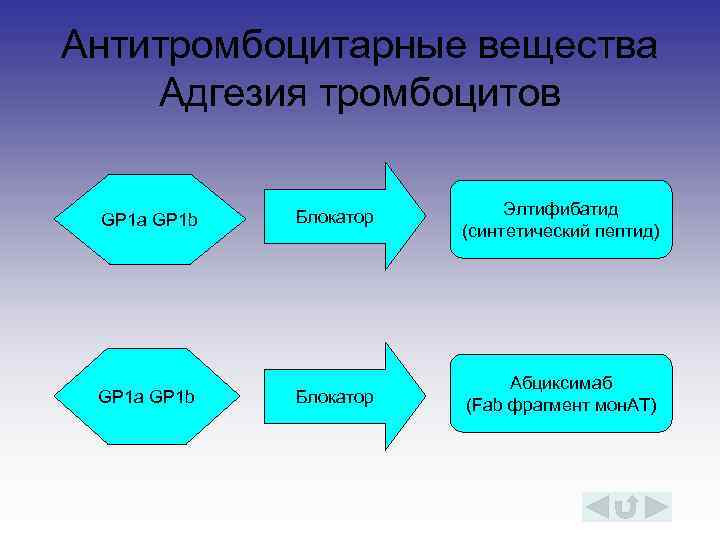 Антитромбоцитарные вещества Адгезия тромбоцитов GP 1 a GP 1 b Блокатор Элтифибатид (синтетический пептид)