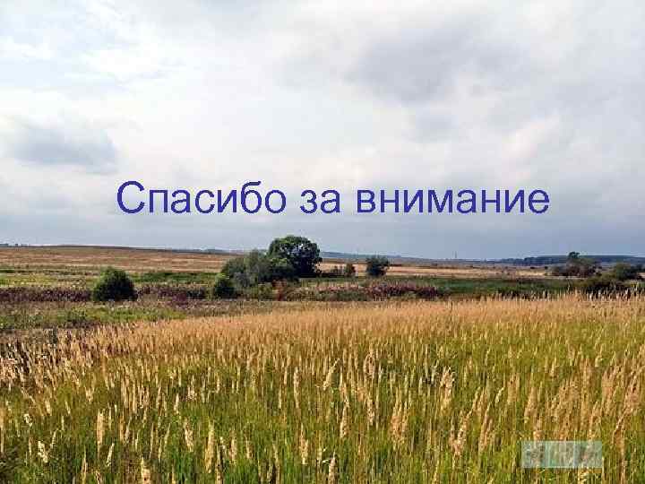 Спасибо за внимание 