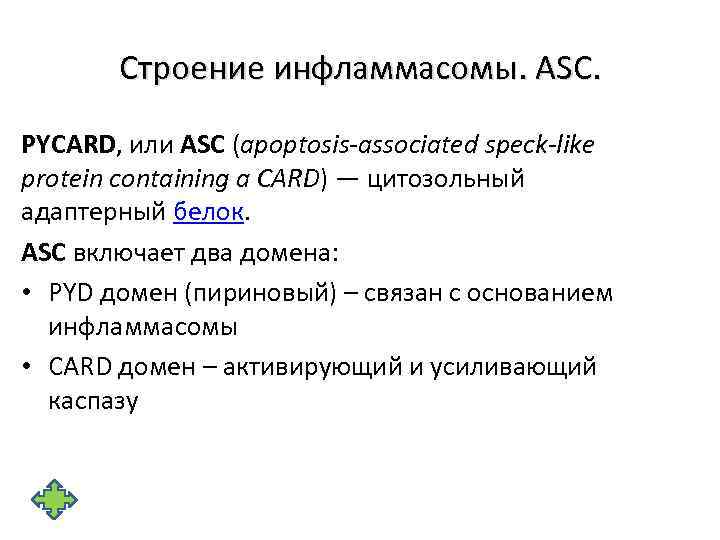 Строение инфламмасомы. ASC. PYCARD, или ASC (apoptosis-associated speck-like protein containing a CARD) — цитозольный