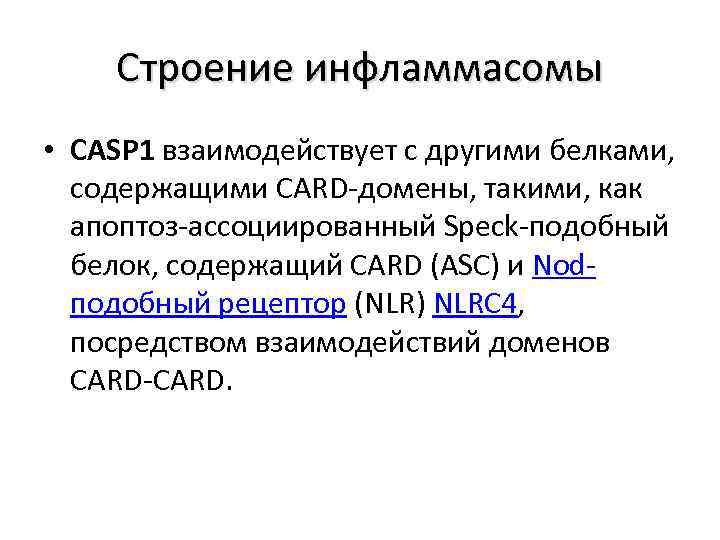 Строение инфламмасомы • CASP 1 взаимодействует с другими белками, содержащими CARD-домены, такими, как апоптоз-ассоциированный