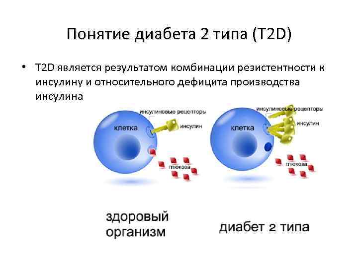 Понятие диабета 2 типа (T 2 D) Понятие диабета 2 типа ( • T