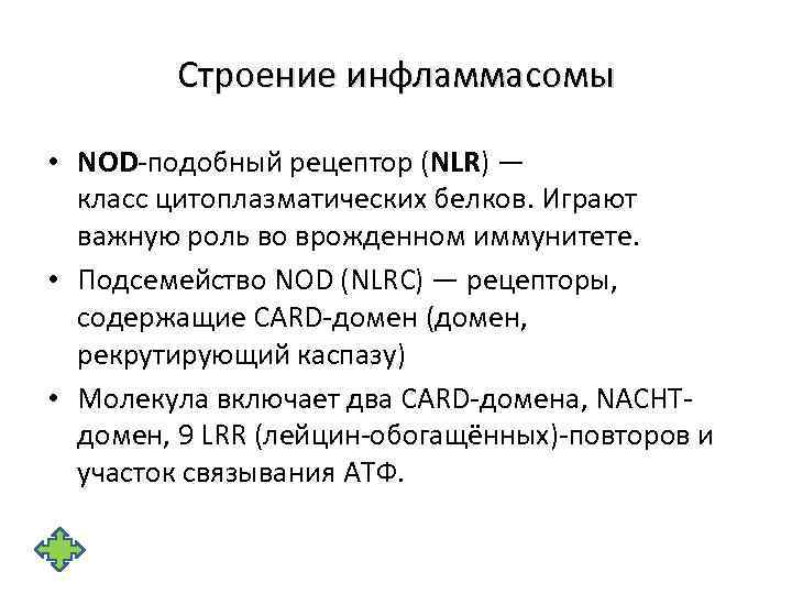 Строение инфламмасомы • NOD-подобный рецептор (NLR) — класс цитоплазматических белков. Играют важную роль во