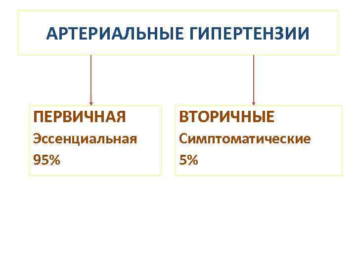 АРТЕРИАЛЬНЫЕ ГИПЕРТЕНЗИИ ПЕРВИЧНАЯ ВТОРИЧНЫЕ Эссенциальная 95% Симптоматические 5% 