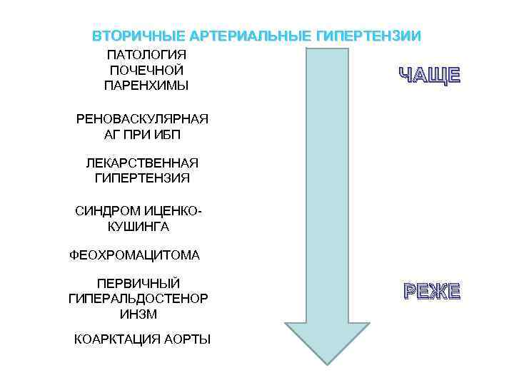 ВТОРИЧНЫЕ АРТЕРИАЛЬНЫЕ ГИПЕРТЕНЗИИ ПАТОЛОГИЯ ПОЧЕЧНОЙ ПАРЕНХИМЫ ЧАЩЕ РЕНОВАСКУЛЯРНАЯ АГ ПРИ ИБП ЛЕКАРСТВЕННАЯ ГИПЕРТЕНЗИЯ СИНДРОМ