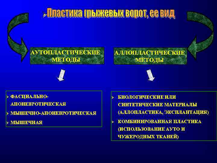 Аллопластическая картина болезни