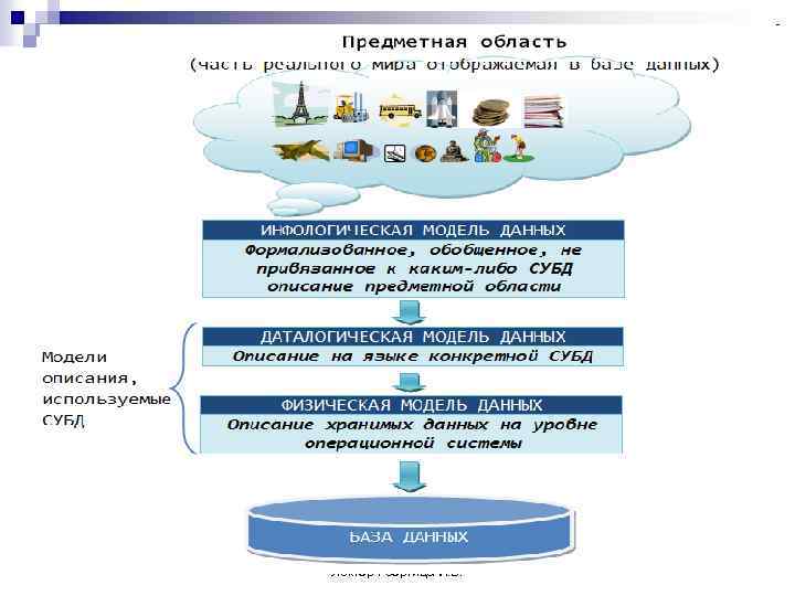 Лектор Георгица И. В. 